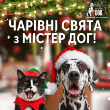 Чарівні свята з Містер Дог! Чарівні свята з Містер Дог!