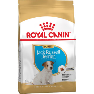 Royal Canin Jack Russel Terrier Puppy Сухий корм для цуценят породи Джек Рассел Тер'єр віком до 10 місяців Royal Canin Jack Russel Terrier Puppy Сухий корм для цуценят породи Джек Рассел Тер'єр віком до 10 місяців