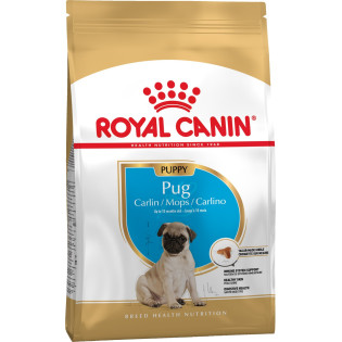 Royal Canin Pug Puppy Сухий корм для цуценят породи Мопс віком до 10 місяців Royal Canin Pug Puppy Сухий корм для цуценят породи Мопс віком до 10 місяців