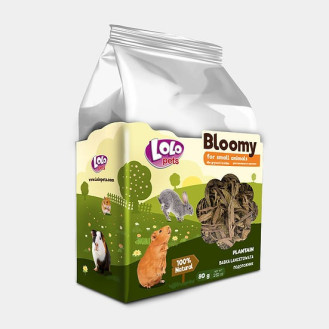 LoLo Pets Bloomy Small Animals Plantain Ласощі для гризунів та кроликів Подорожник