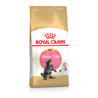 Royal Canin Maine Coon Kitten Сухой корм для котят в возрасте до 15 месяцев породы Royal Canin Maine Coon Kitten Сухой корм для котят в возрасте до 15 месяцев породы