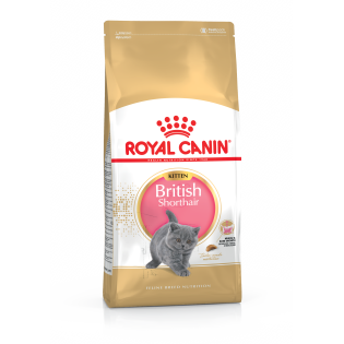 Royal Canin British Shorthair Kitten Сухий корм для кошенят віком до 12 місяців породи Британська Короткошерста Royal Canin British Shorthair Kitten Сухий корм для кошенят віком до 12 місяців породи Британська Короткошерста