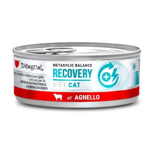 Disugual Metabolic Balance Diet Cat Recovery Lamb Влажный лечебный корм для котов в период восстановления Паштет из Ягненка Disugual Metabolic Balance Diet Cat Recovery Lamb Влажный лечебный корм для котов в период восстановления Паштет из Ягненка