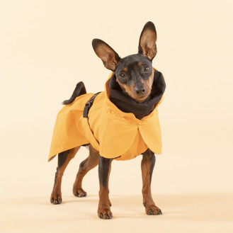 PAIKKA Recovery Raincoat Orange Дощовик для собак зі спеціальною FIR-підкладкою та повним світловідбиванням