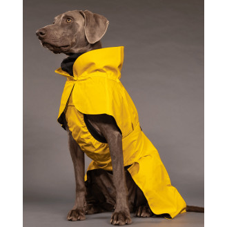 PAIKKA Visibility Raincoat Lite Yellow Водонепроникний дощовик для собак змінюючий колір при світловідбиванні