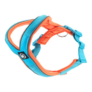 BullyBillows Slip on Harness Color Світловідбиваюча анатомічна шлея з кольоровою спецпідкладкою для собак BullyBillows Slip on Harness Color Світловідбиваюча анатомічна шлея з кольоровою спецпідкладкою для собак