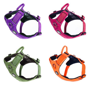 BullyBillows Lightweight Air Mesh Harness Анатомічна шлея для собак з ручкою та переднім кільцем BullyBillows Lightweight Air Mesh Harness Анатомічна шлея для собак з ручкою та переднім кільцем