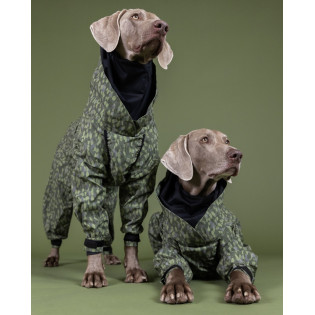 PAIKKA Rain Suit Green Водонепроникний костюм зі світловідбиваючим візерунком для собак PAIKKA Rain Suit Green Водонепроникний костюм зі світловідбиваючим візерунком для собак
