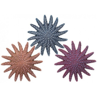 Nobby Aqua Ornaments Starfish Декор для акваріума Морська індійськоокеанська зірка