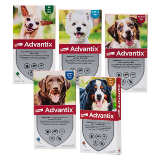 Elanco Advantix Dogs Антипаразитарні краплі для собак від бліх, кліщів, волосоїдів та вошей Адвантікс