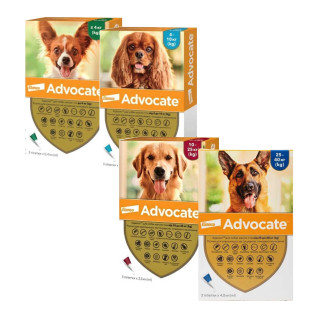 Elanco Advocate Dogs Антипаразитарні краплі для собак від бліх, гельмінтів та шкірних кліщів Адвокат Elanco Advocate Dogs Антипаразитарні краплі для собак від бліх, гельмінтів та шкірних кліщів Адвокат